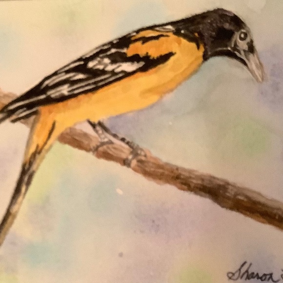 Sharon Benson Other - Yellow Gold Finch